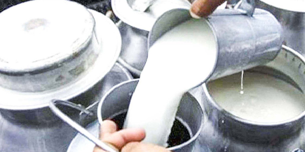 गोदाम भरिएपछि ‘मिल्क उद्योग’ बन्द
