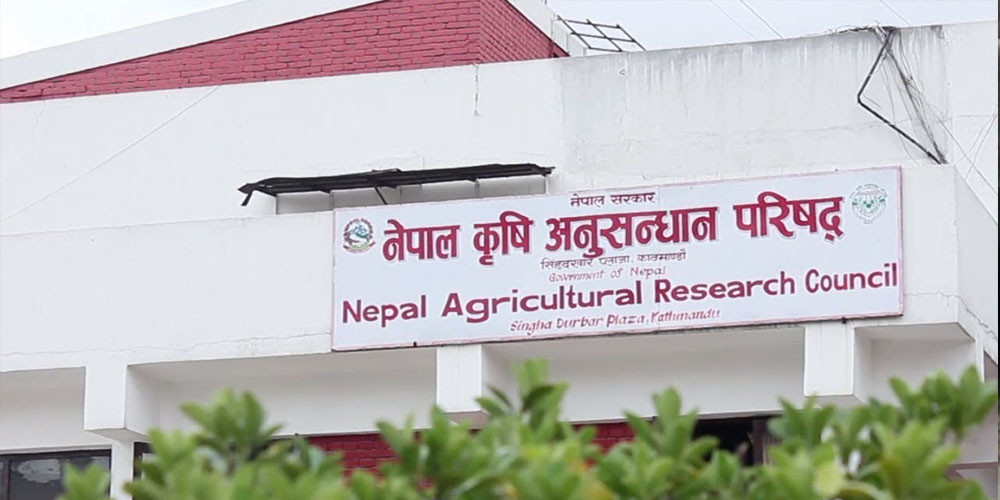 नार्कका वैज्ञानिक कर्मचारी आन्दोलनमा
