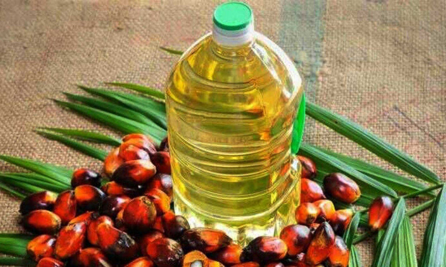 भारतद्वारा पाम आयलमा प्रतिबन्ध :  धराशायी हुँदै नेपाली उद्योग