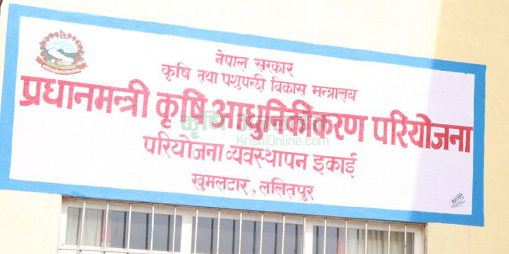 प्रधानमन्त्री कृषि आधुनिकीकरण परियोजनाले प्रदेश १ मा ४४ हजारलाई रोजगारी दिने