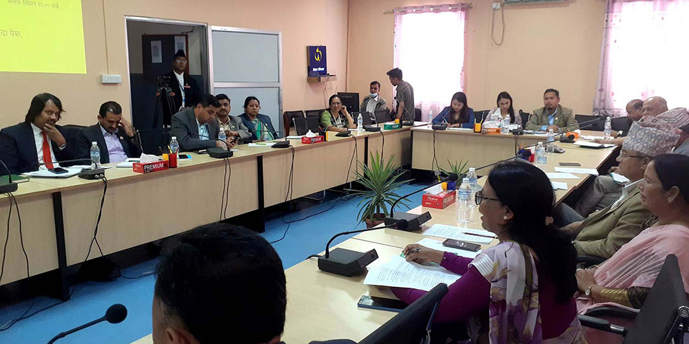 ‘कोरम’ नपुगेपछि पूर्वाधार समितिको बैठक स्थगित