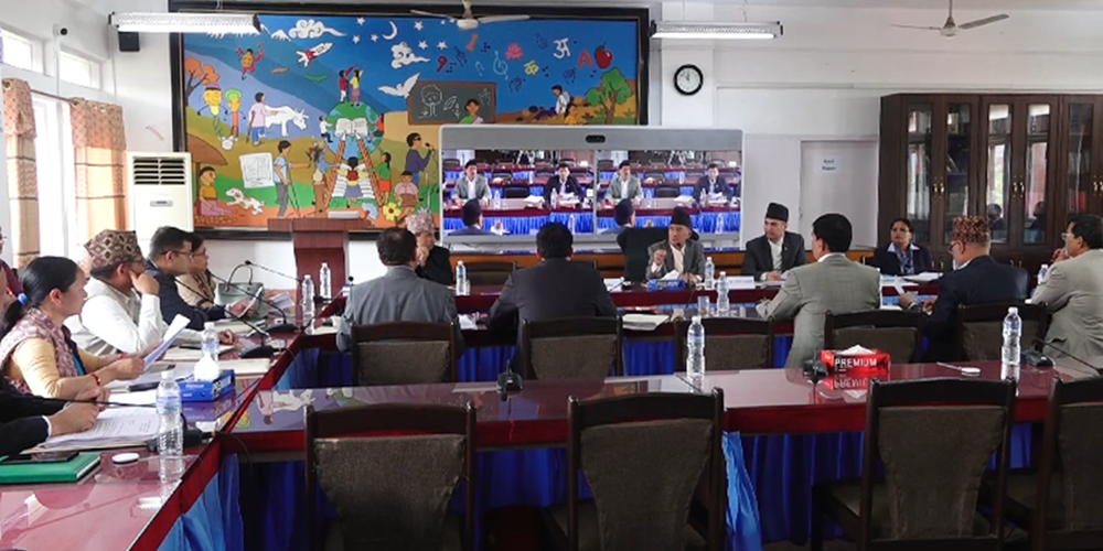 प्रस्तावित १७ राजदूतबारे निर्णय गर्दै सुनुवाइ समिति