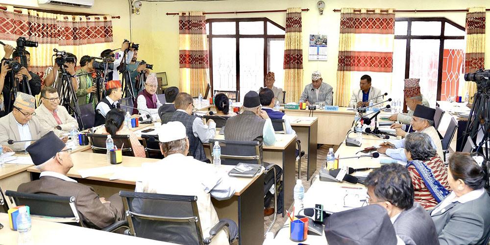 विपद् प्रभावितलाई तत्काल राहत सामग्री वितरण र पुनःस्थापना गर्न सरकारलाई निर्देशन