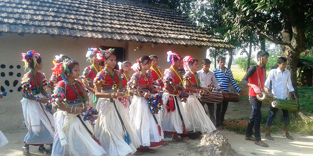 सखिया नाचमा झुम्दै कञ्चनपुरका थारू बस्ती