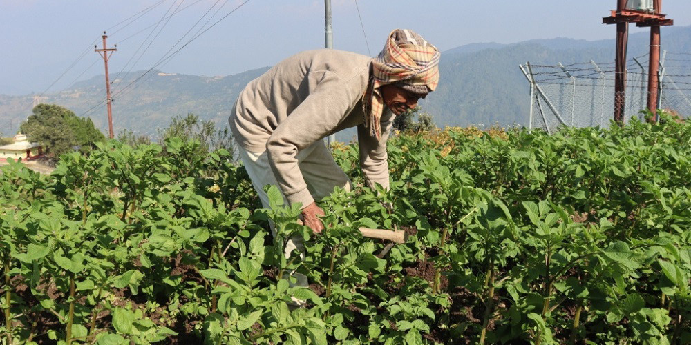 जो ९० वर्षको उमेरमा पनि माटोसँग खेलिरहेछन्