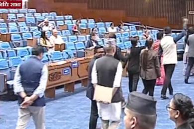 सत्तापक्षका सांसदहरू बोल्न थालेपछि रास्वपाका सांसदहरू बाहिरिए