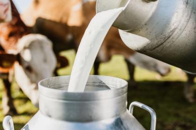 दूधमा आत्मनिर्भर बन्दै मधेस प्रदेश