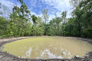 वन्यजन्तुका लागि पानी खान पोखरी निर्माण