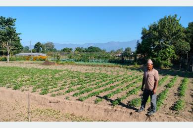 ‘टिपिएस’ विधिबाट आलुखेती