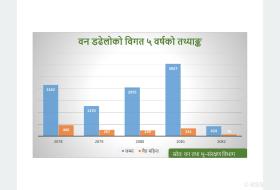 मनसुन पूर्वको वर्षाले घटायो वन डढेलो
