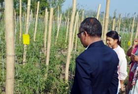 यस्तो छ आजका लागि कृषिउपजको थोक मूल्य