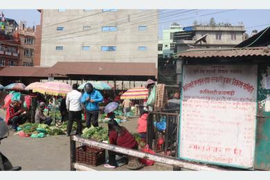 यस्तो छ आजका लागि कृषिउपजको थोक मूल्य