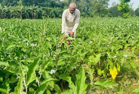 ‘सिरहामा पत्रकार थपलियाले बदलेको छवि’