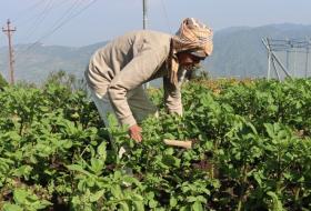 जो ९० वर्षको उमेरमा पनि माटोसँग खेलिरहेछन्