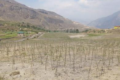 कालीकोट जिल्लाकै नमूना स्याउ फोइमहादेवमा