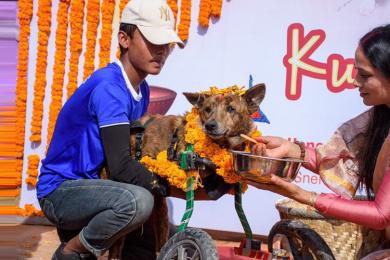स्नेहाज् केयरमा मनाइयो कुकुर तिहार (तस्बिर सहित) 