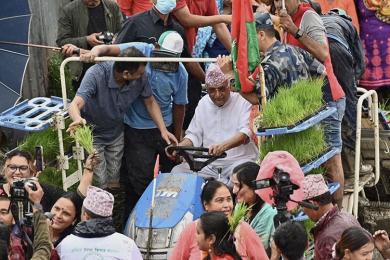 गल्ती सुधारे धान निर्यात गर्ने अवस्थामा पुगिन्छ : अध्यक्ष ओली