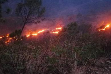 राष्ट्रियसभाः डढेलो नियन्त्रणमा सक्रिय हुन आग्रह