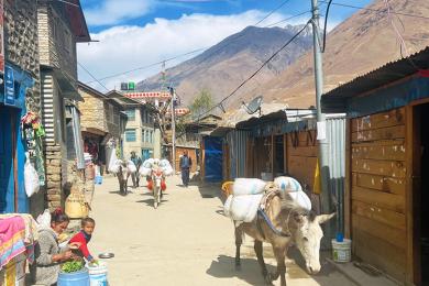 हिमाल र पहाड खाली हुँदै, तराईमा बढ्यो जनसङ्ख्याको चाप