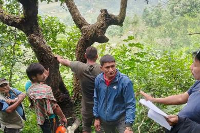 नेपालले वन विनाशलाई सन् २०३० सम्म शून्यमा झार्ने 