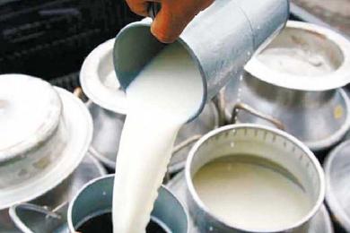 दुग्ध किसानले १५–१५ दिनमा भुक्तानी पाउने