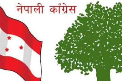 कांग्रेसको स्वयंसेवक परिचालन उपसमितिमा पाँच सदस्य मनोनीत