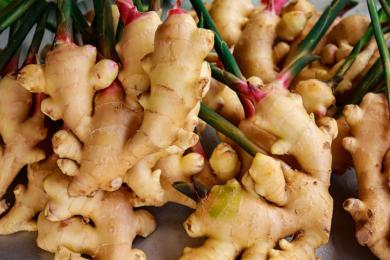 अदुवा उत्पादक कृषक मारमा