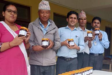 विद्यालयमा लप्सीको अचार बनाउन सिकाइँदै