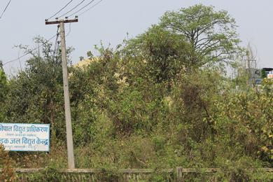 गण्डकमा २ महिनादेखि विद्युत् उत्पादन बन्द, दैनिक ८ लाख घाटा