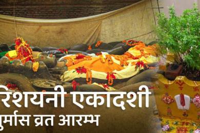 आज हरिशयनी एकादशी, घरघरमा तुलसीको बिरुवा सारिँदै 