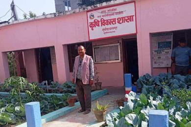 कञ्चनपुरको कृष्णपुर नगरपालिका परिसरमै करेसाबारी