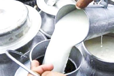 गोदाम भरिएपछि ‘मिल्क उद्योग’ बन्द