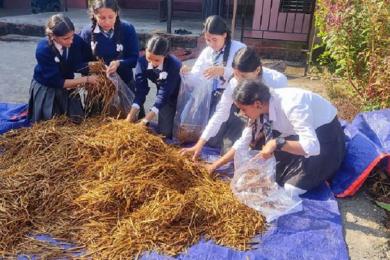 जहाँ विद्यार्थी च्याउ बेचेर पैसा कमाउँछन्