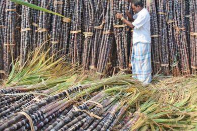 उखुको रकम भुक्तानीले किसानलाई राहत
