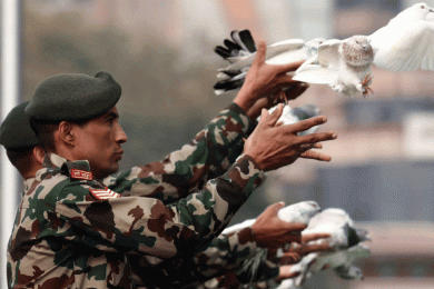 राष्ट्रिय प्रजातन्त्र दिवस मनाइँदै