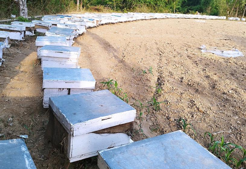 मौरीबाट वार्षिक १६ लाखको कारोबार, सात लाखसम्म बचत