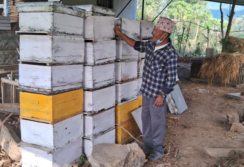 मह बेचेर एक सिजनमै १२ लाख कमाइ