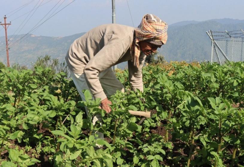 जो ९० वर्षको उमेरमा पनि माटोसँग खेलिरहेछन्